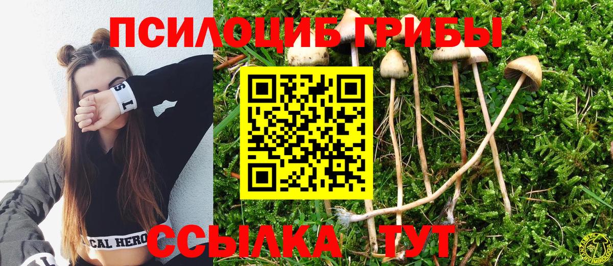 Псилоцибиновые грибы GOLDEN TEACHER Кузнецк