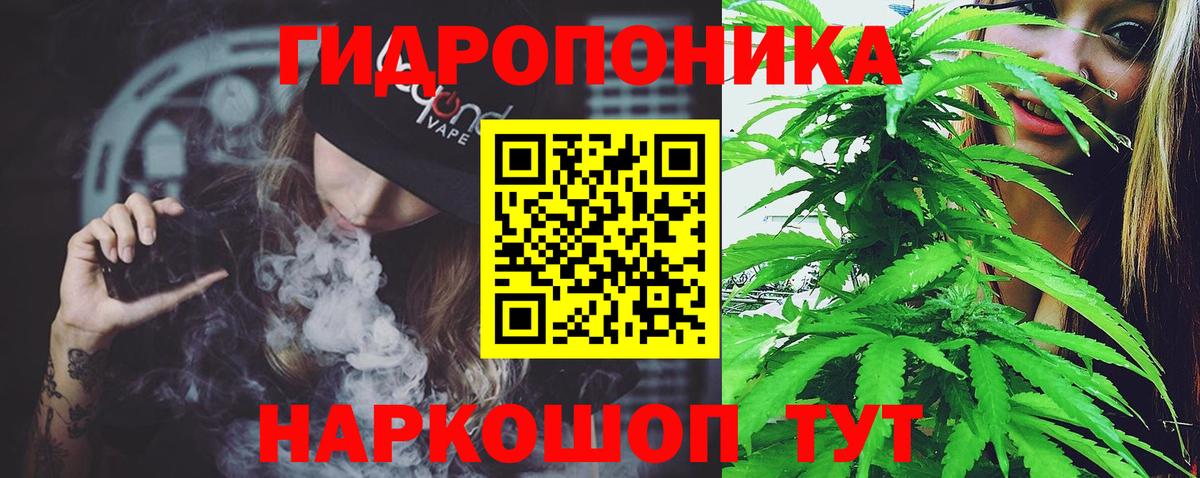 Бошки марихуана гибрид Кузнецк